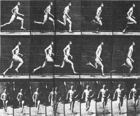 Фотографии Эдварда Майбриджа бега человека в двух плоскостях 